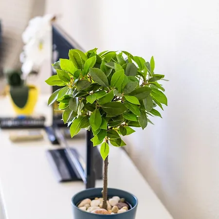 公寓 Venice By Algarve Vacation 阿尔布费拉