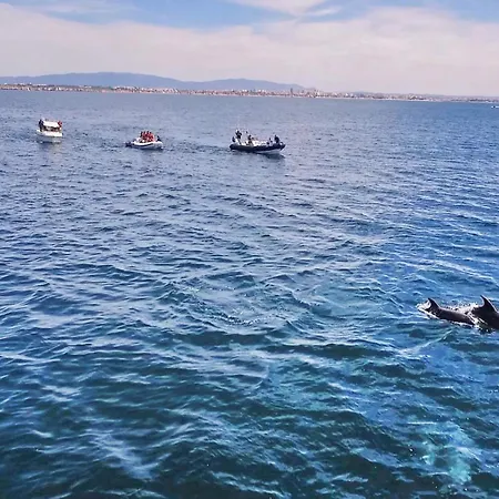 Venice By Algarve Vacation