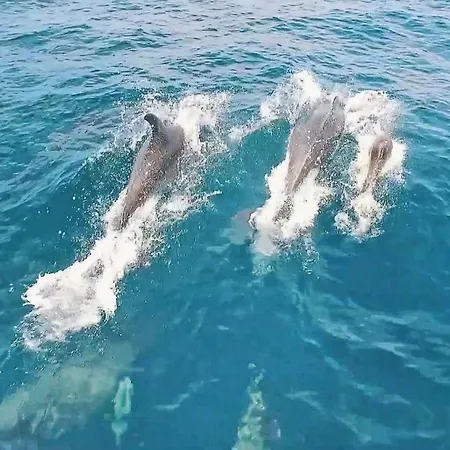 Venice By Algarve Vacation 公寓