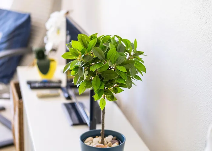 Apartment Venice By Algarve Vacation Albufeira